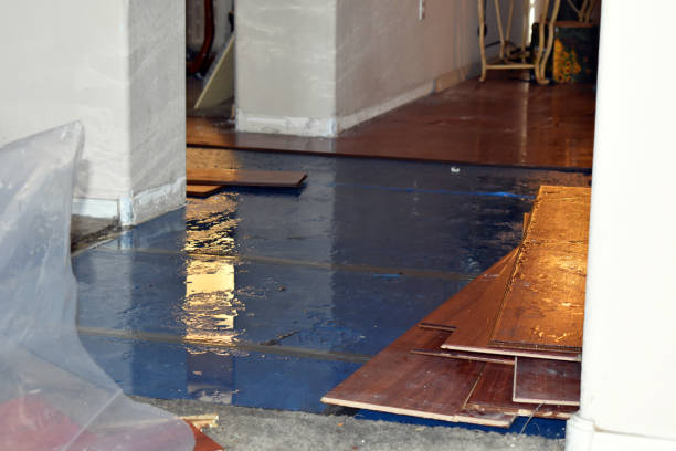 Professional Flood Cleanup technician working in Monticello, IA